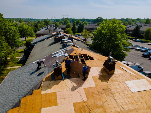 Quick and Trustworthy Emergency Roof Repair Services in Seymour, TX